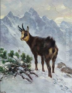 Gams Im Schnee