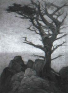 Lone Tree On The Monterey Coast by John Reed Dickinson