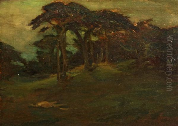 Cypress On Rolling Hills - view 1