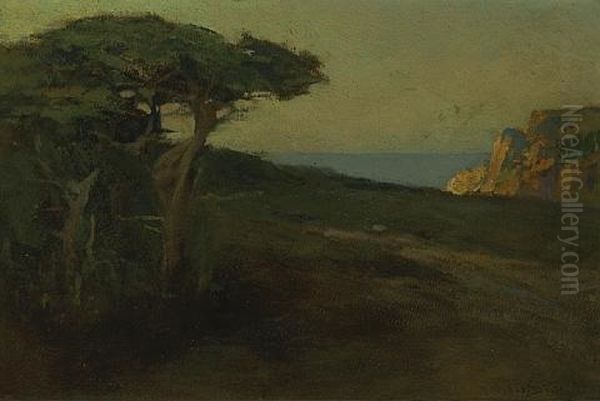 Monterey Coast - view 1