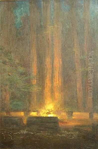 The Bohemian Grove - view 1