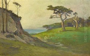 Monterey Cypress by Charles Dickman