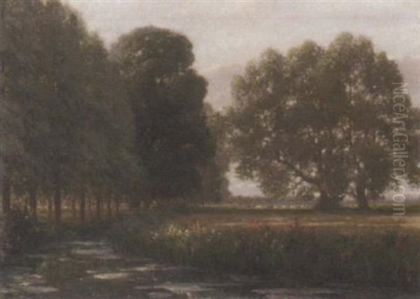 The Marshes - view 1