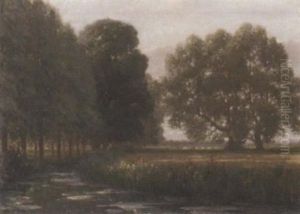 The Marshes