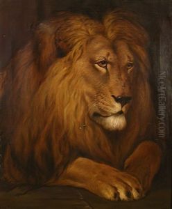 A Lion by Herbert Thomas Dicksee