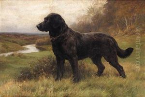 On Alert, A Black Labrador by Herbert Thomas Dicksee