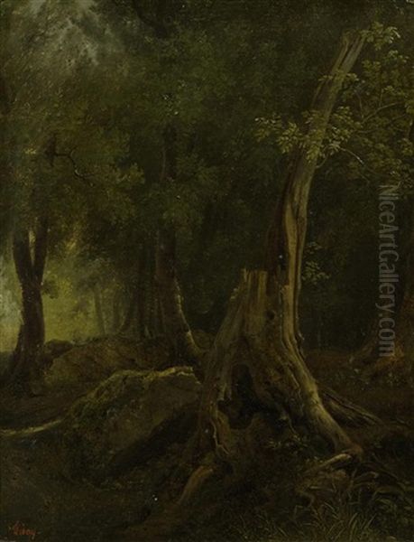 Waldlandschaft - view 1