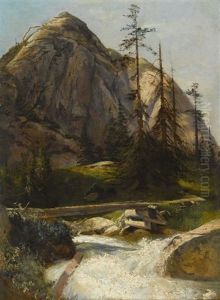 Sommerlicher Gebirgsbach Mit Holzsteg by Francois Diday
