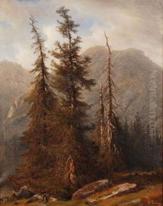 Grand Sapins A La Handeck by Francois Diday