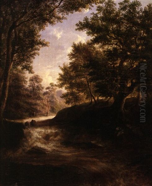 Wildbach - view 1