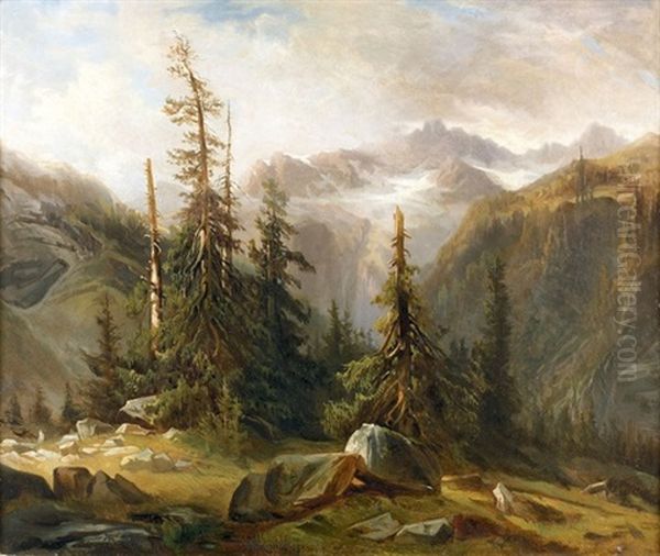 Wilde Gebirgspartie Mit Tannen Und Felsen - view 1