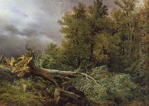 A Fallen Tree In A Stormy Landscape - view 1