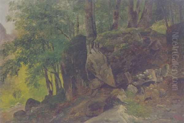 Felsiger Hang - view 1