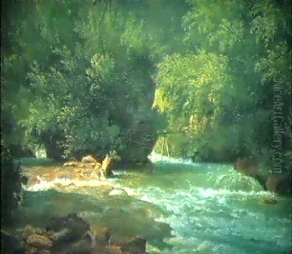 Bewaldete Flusslandschaft - view 1