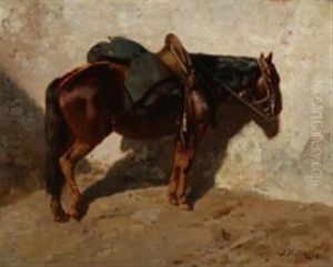 A Saddled Horse