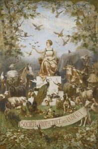 Societe Protectrice Des Animaux by Jules Didier