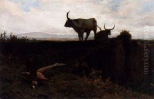 Roman Campagna