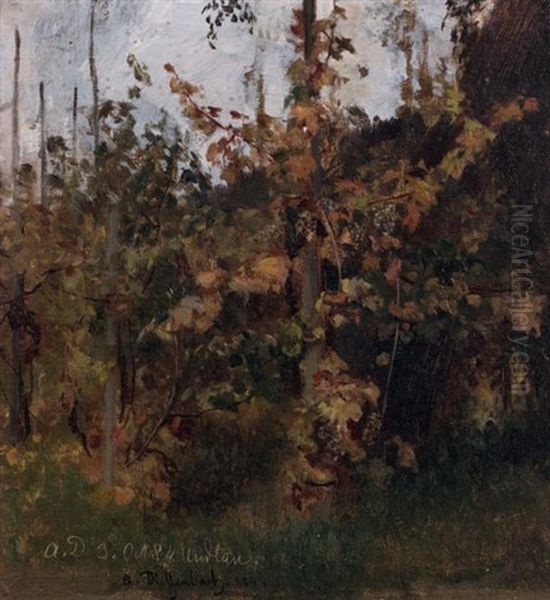 Le Buisson - view 1