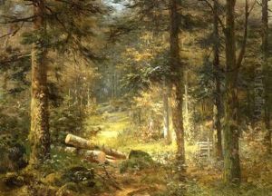 Waldinneres Waldinneres