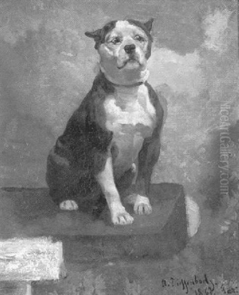Sitzender Hund - view 1