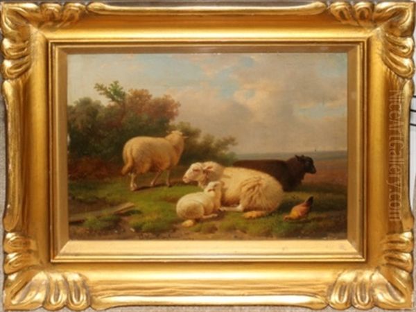 Sheep Reclining In Landscape With Chicken - view 1