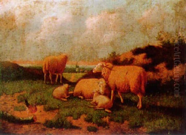 Sheep In A Sunlit Landscape - view 1
