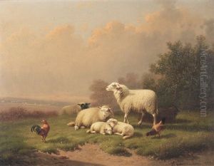 Sheep Sheep
