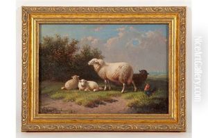 Family Of Sheep And A Rooster