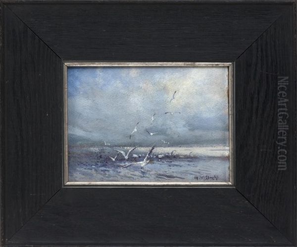Gulls Rising - view 1