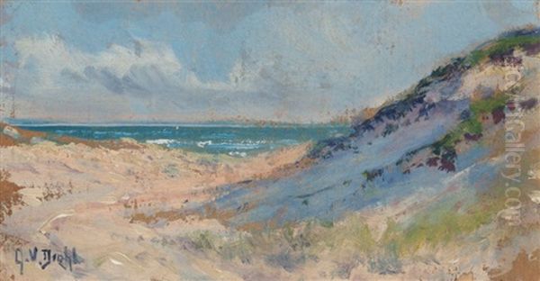 Pathway To The Beach, Provincetown - view 1