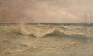 Seascape With Gulls