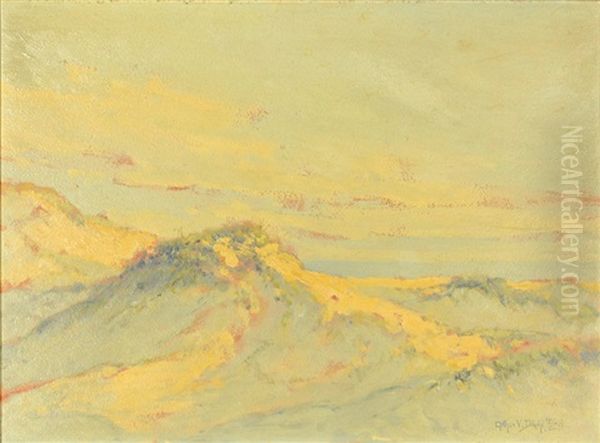 Sand Dunes, Cape Cod - view 1
