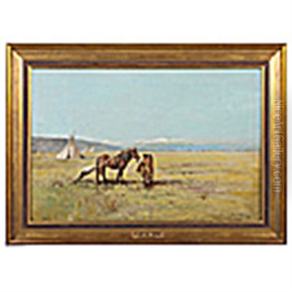 In The Far West - view 1