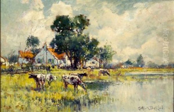 Cattle Watering - view 1