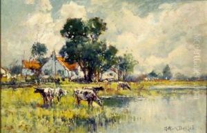 Cattle Watering