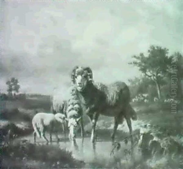 Wiesenlandschaft Mit Schafherde - view 1