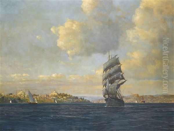 Sailing On The Bosphorus - view 1