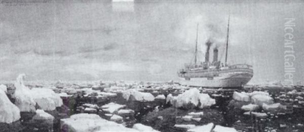 Oceana Im Treibeis - view 1