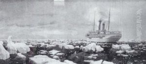 Oceana Im Treibeis by Michael Zeno Diemer