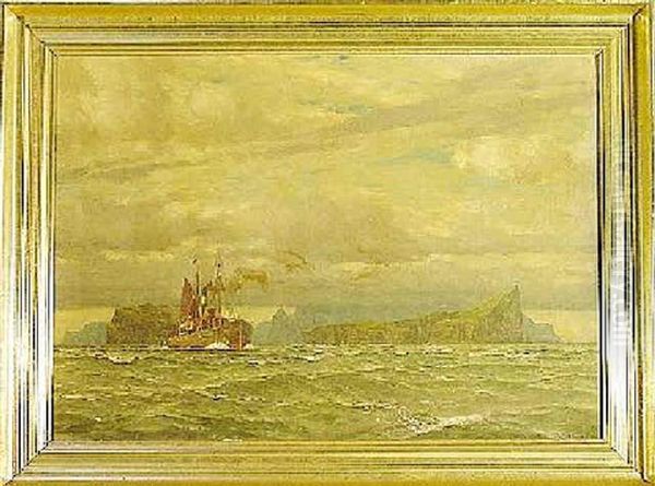 Dampfschiff Auf See Vor Der Kuste Islands - view 1