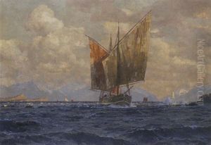 Marine Marine