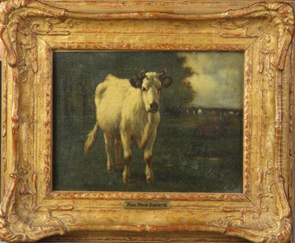 Cow In Pasture - view 1