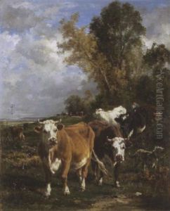 Kuhherde Auf Dem Weg Zur Tranke