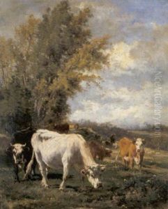 Landschap Met Koeien