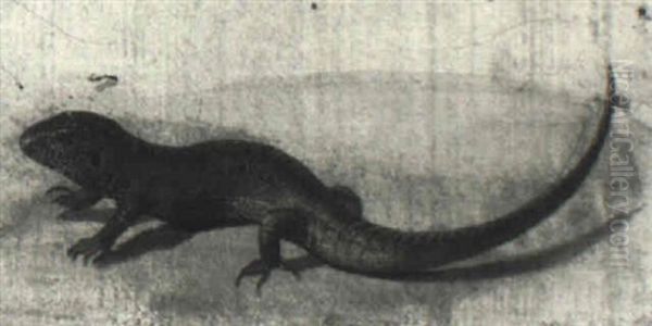 Lizard - view 1