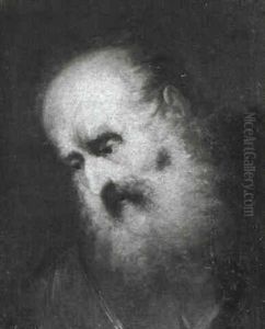 Studies Of Elderly Bearded Men