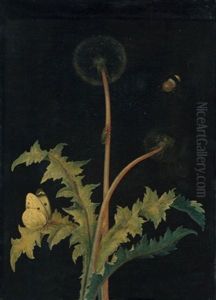 Lowenzahn Mit Kohlweisling Und Honigbiene by Barbara Regina Dietzsch