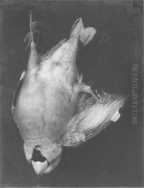 A Finch Hanging From A Nail - view 1