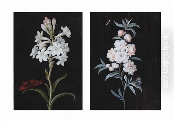 Still Life Of White Flowers And A Butterfly And Still Life Of Dog Roses And Insects (2 Works) - view 1