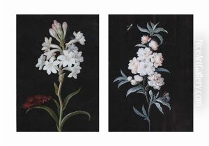Still Life Of White Flowers And A Butterfly And Still Life Of Dog Roses And Insects (2 Works) by Margaretha Barbara Dietzsch